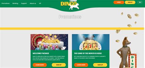 casino dingo review.